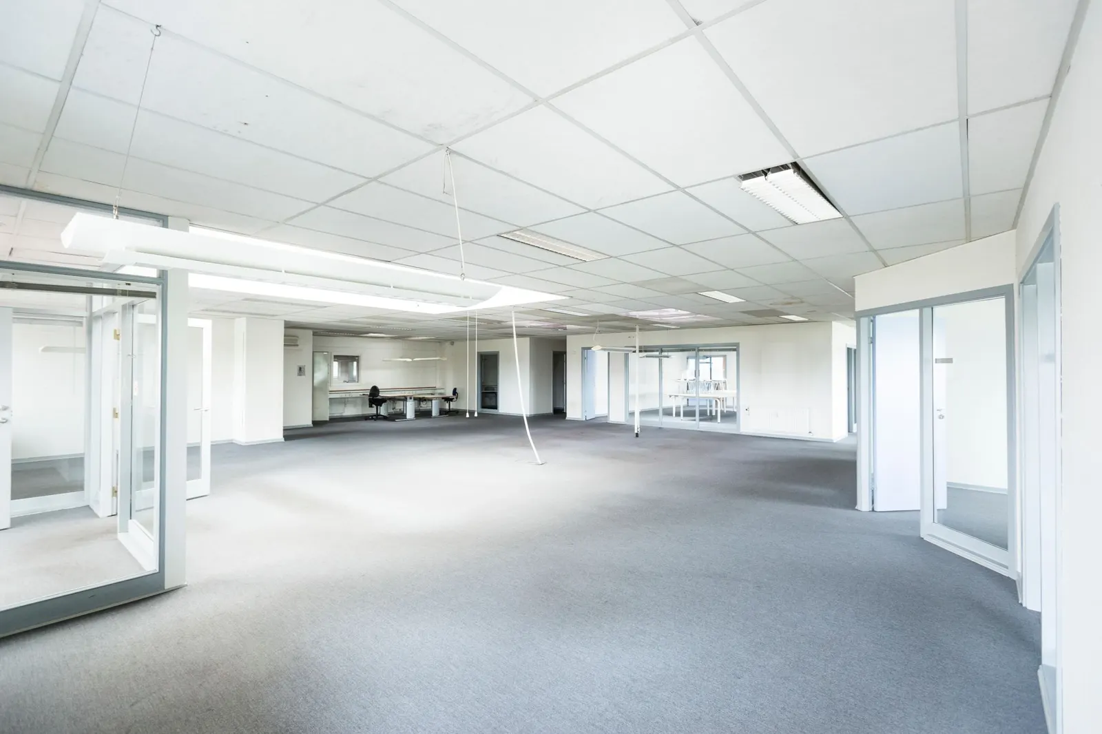 A modern open-plan office with tidy desks and natural light